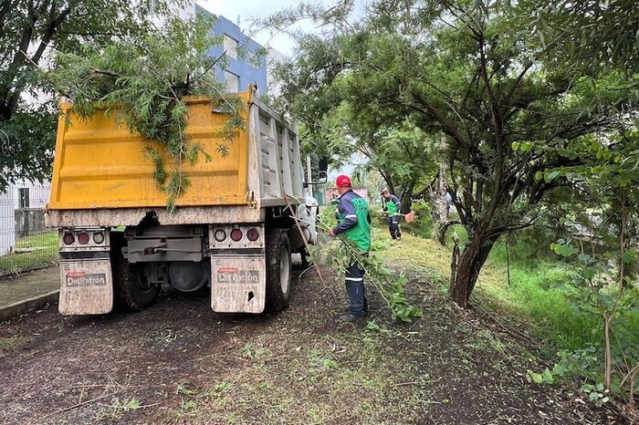 Gobierno de Morelia y vecinos realizan limpia en El Vergel