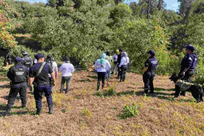 Guardia Civil mantiene operativos de búsqueda forense en Michoacán
