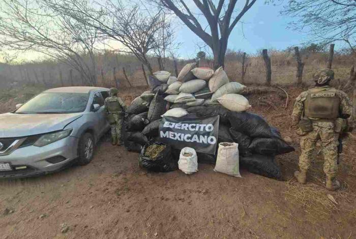 Guardia Nacional y Ejército Mexicano aseguraron droga en el municipio de Turicato