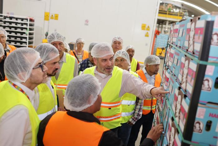 Guardián Forestal frena exportación de 2 mil huertas de aguacate por deforestación: Bedolla