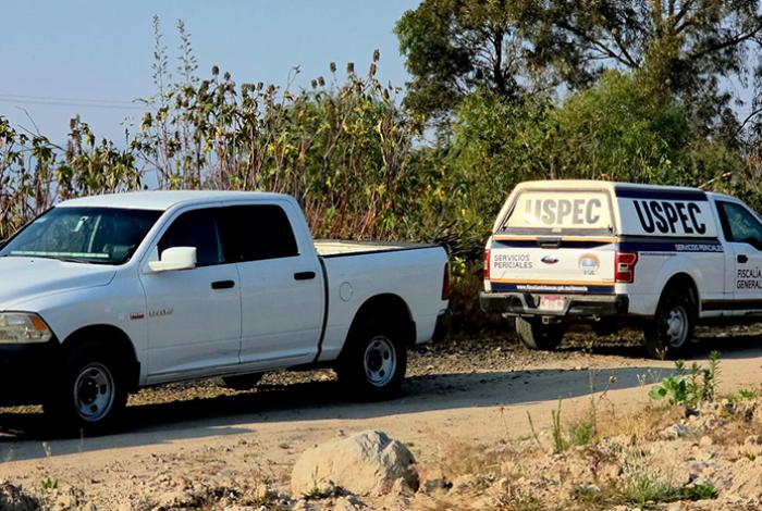 Hallan a hombre asesinado en huerto de aguacate en Tacámbaro