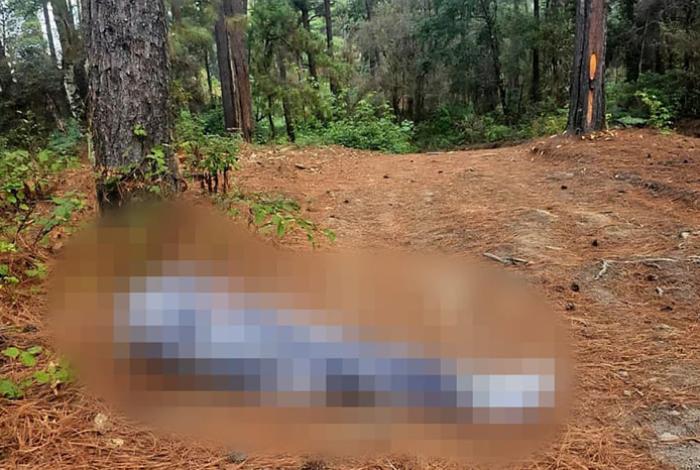 Hallan a hombre ejecutado y encobijado en la región de Tzitzio