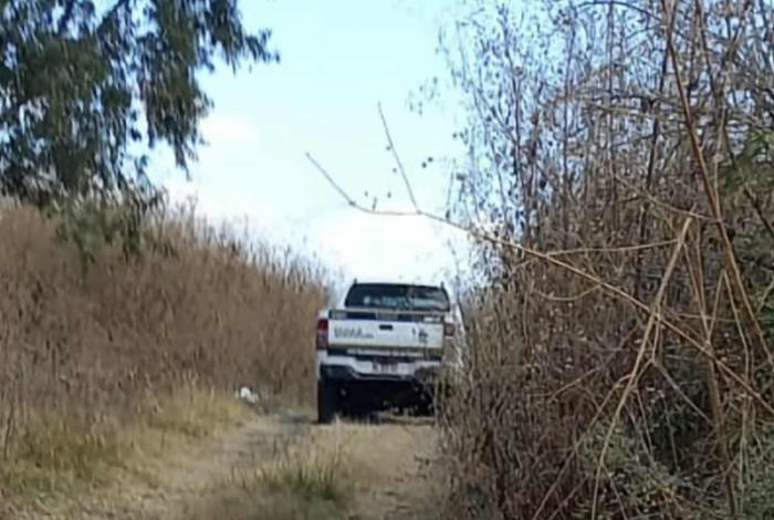 Hallan a hombre muerto y colgado de un árbol, entre los fraccionamientos Villas del Pedregal y La Hacienda