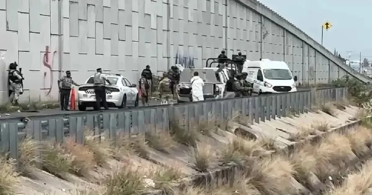 Hallan a tres jóvenes asesinados a un costado de carretera en Apaseo el Grande, Guanajuato.