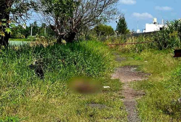 Hallan cuerpo con huellas de violencia en un predio de Zamora