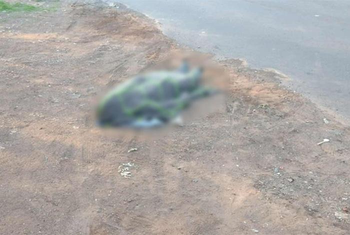 Hallan cuerpo envuelto en cobijas sobre carretera de Apatzingán; presentaba signos de tortura