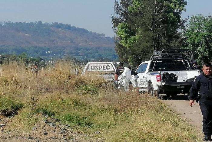 Hallan muerto a empresario aguacatero en Tancítaro