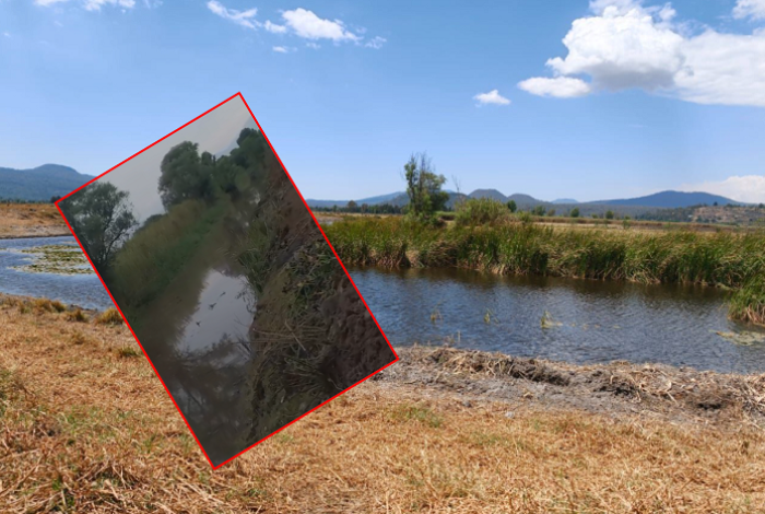 Hallazgo de tres nuevos manantiales consolidan rescate del lago de Pátzcuaro: Bedolla