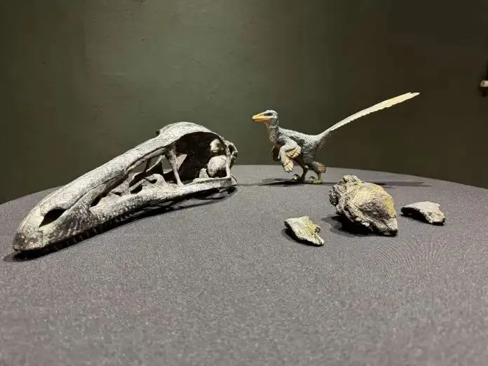 Hallazgo paleontológico en Coahuila: revelan nueva especie de dinosaurio carnívoro