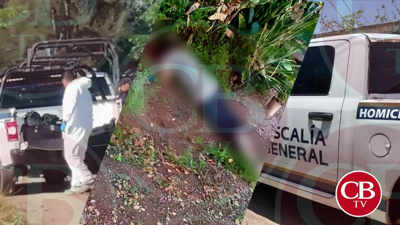 Han asesinado a 55 personas en Michoacán en 16 días de Junio