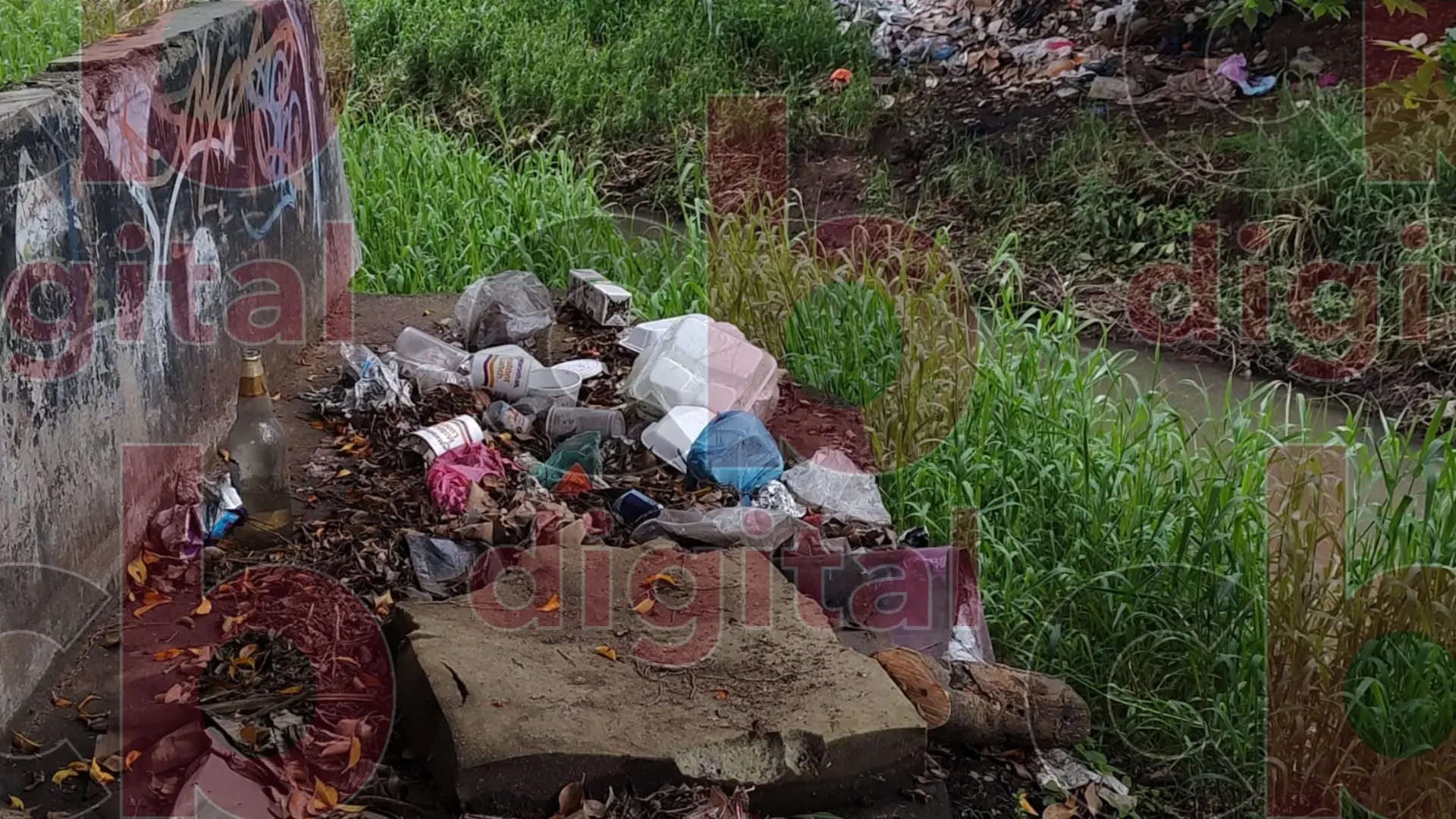 Hasta 10 toneladas de basura se recogen en operativos en Río Chiquito