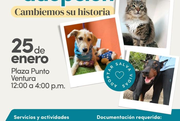 IMPA invita a cambiar una vida con la Primera Jornada de Adopción de lomitos y michis