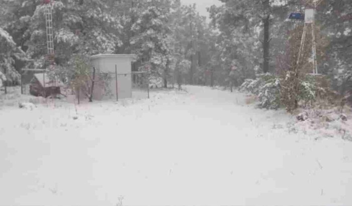 Impacta primera tormenta invernal en Chihuahua