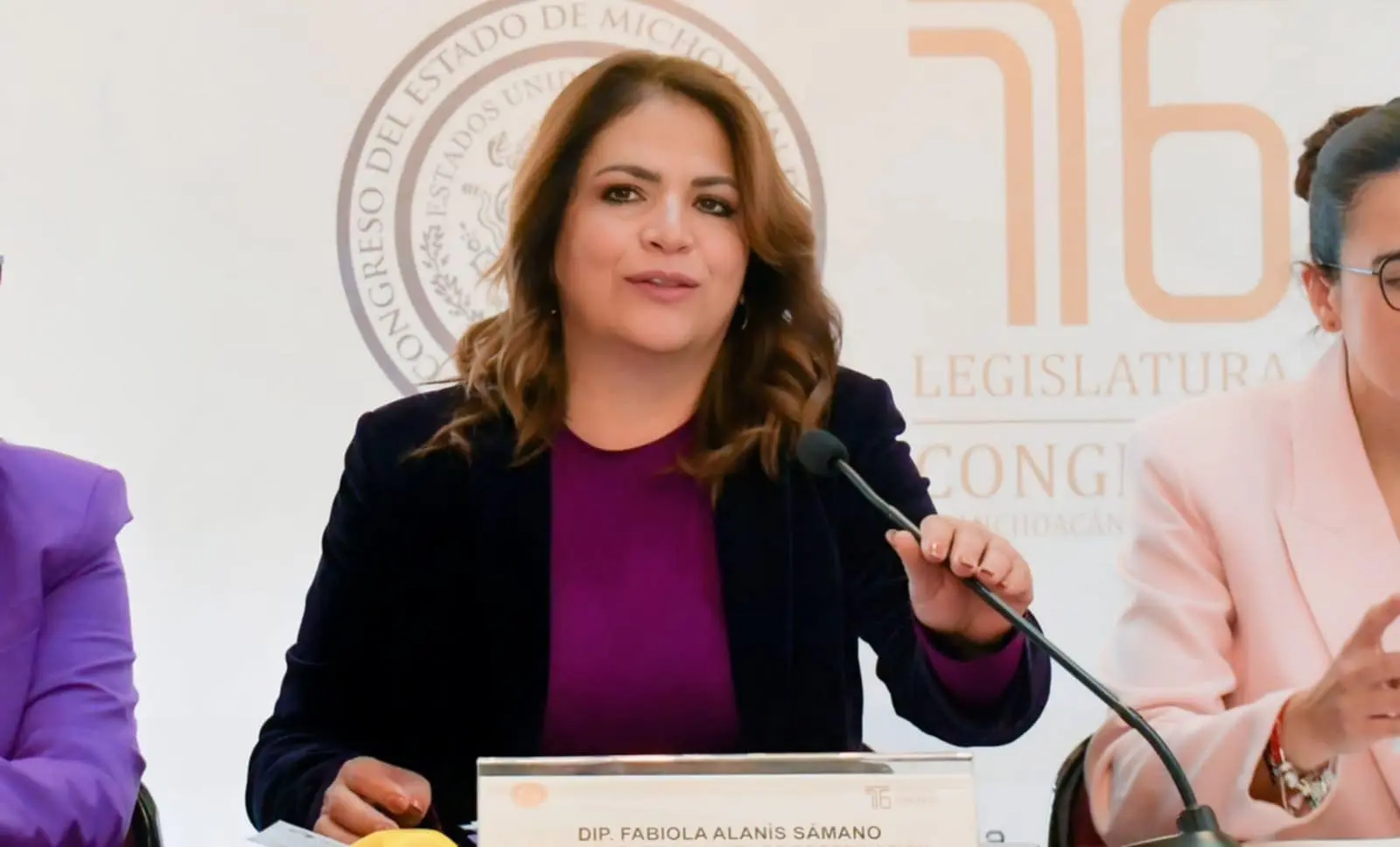 Impulsar leyes para acelerar la reducción de desigualdades, la prioridad: Fabiola Alanís