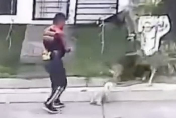 IMSS se deslinda de trabajador señalado por presunto maltrato animal