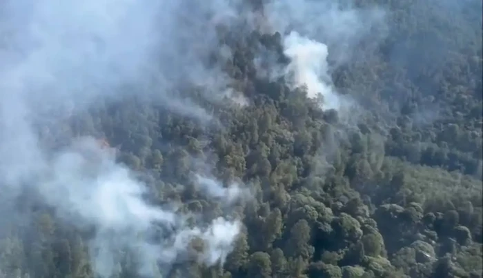 Incendio amenaza el Santuario de la Mariposa Monarca en Michoacán