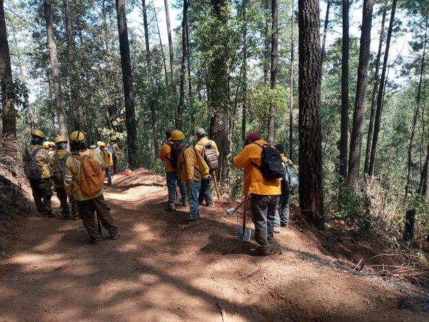Incendio en Senguio, liquidado al 50 %: Cofom
