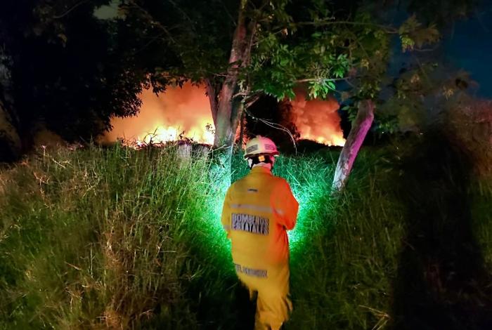 Incendio forestal cerca de colonia Los Pinos enciende alarma de cuerpos de emergencia
