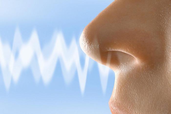 Incrementa cirugía estética de nariz debido a redes sociales: Fesormex