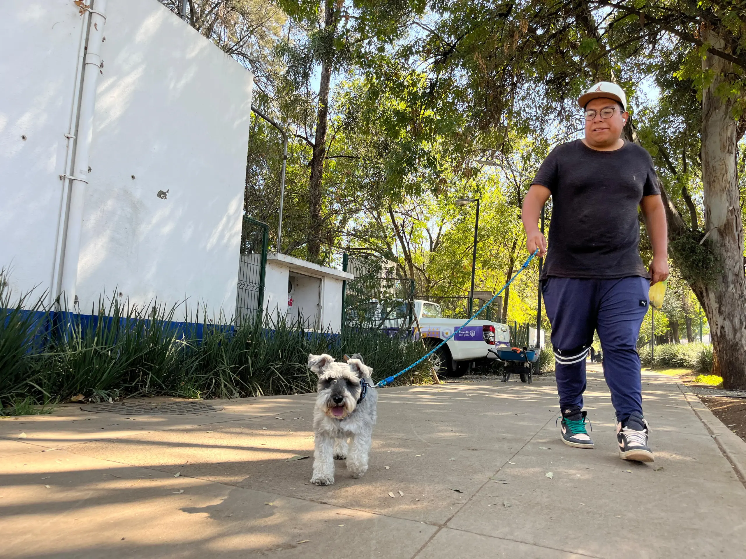Incrementan riesgos para mascotas en temporada de calor