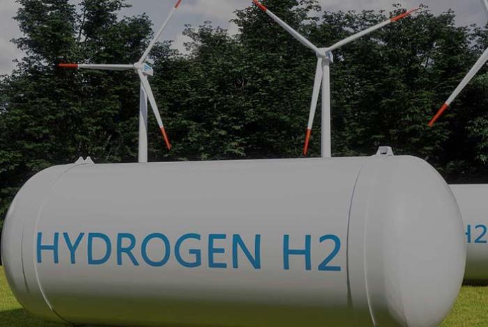 Actividad Económica