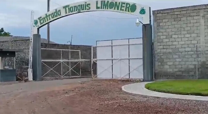 “Injusto que se señale a limoneros por no denunciar”; 30 empacadoras cerradas en Michoacán, confirma productor