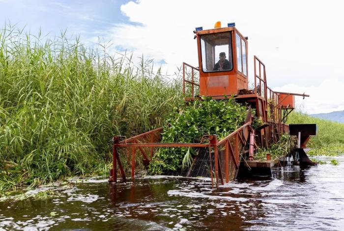 Intensifican trabajos de recuperación en el lago de Cuitzeo con maquinaria especializada