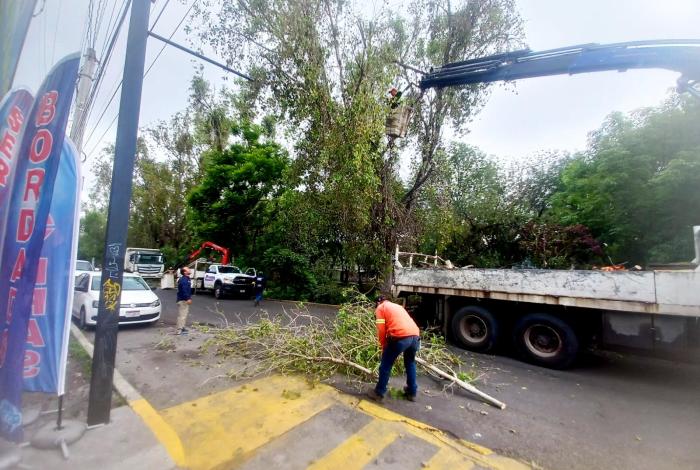 Intervienen 2.5 km de márgenes y cauce del río Chiquito