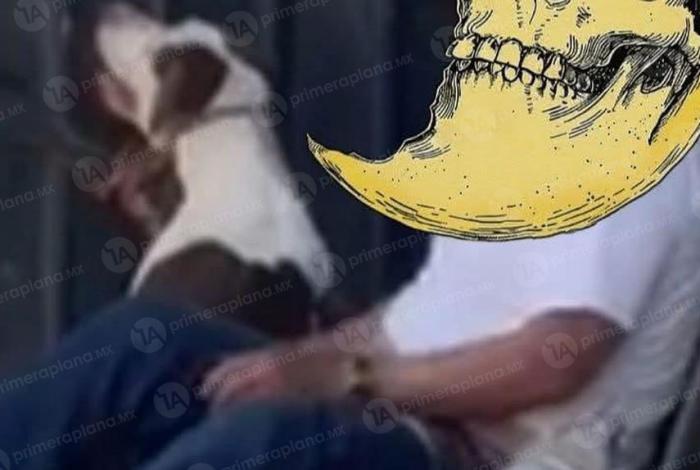 Investigan a adulto mayor por presunto 4bus0 s3xu4l contra una pitbull, en Morelia