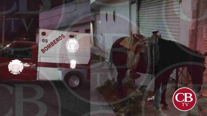 Jinete cae de su caballo y se muere en Zitácuaro