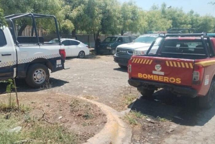 Juan C., se cayó de un árbol y perdió la vida