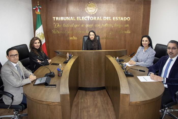 Jucopo vulneró derecho político electoral de diputado de La Sombreriza: Teemich