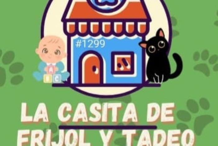 La Casita de Frijol convoca a su primera feria de adopción del 2026 en Morelia