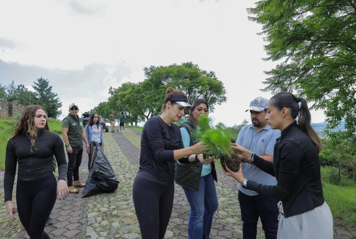 La diputada Sandra Arreola Ruiz encabezó una jornada de reforestación en la zona de Cerro Verde