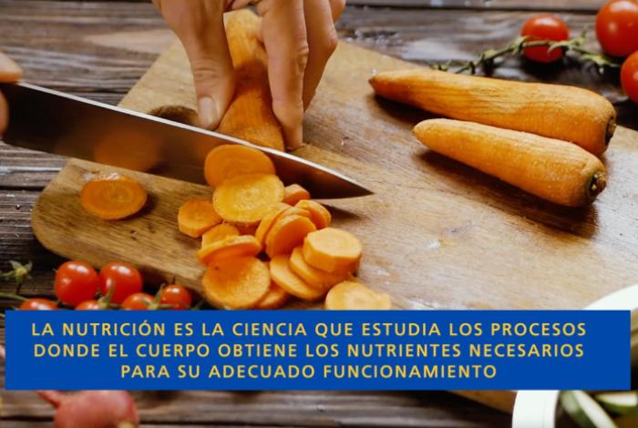 La Nutrición es una aliada estratégica en la salud pública, explica Especialista  