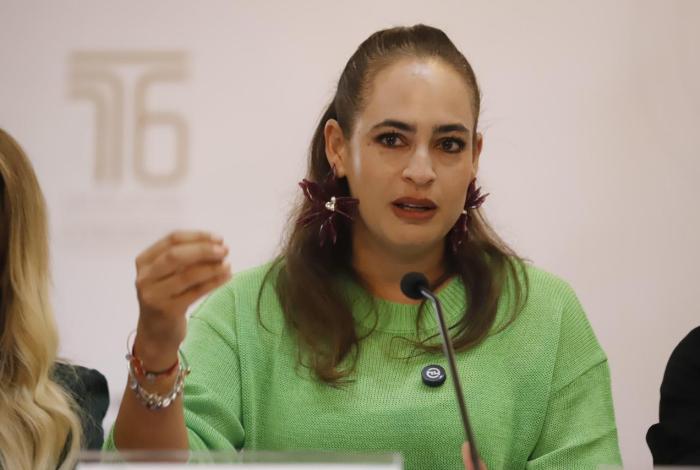 La protección de quienes defienden la tierra debe ser prioridad nacional: Sandra Arreola