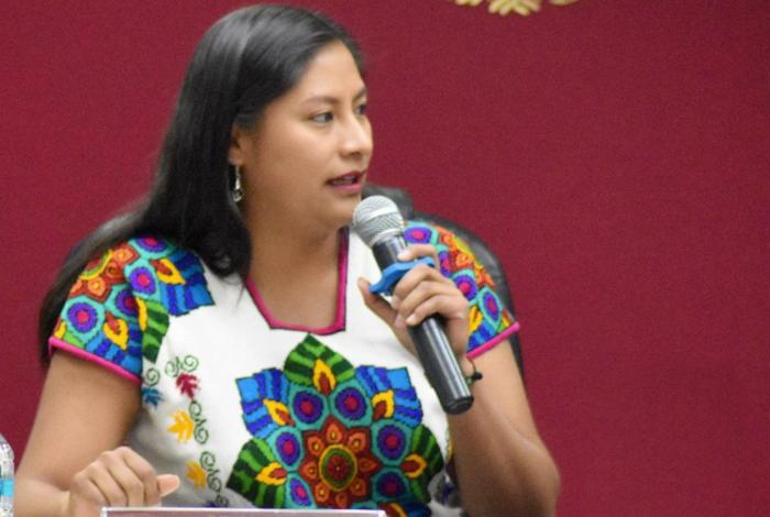 La Senadora Celeste Ascencio presenta iniciativa para fortalecer la inclusión laboral en México