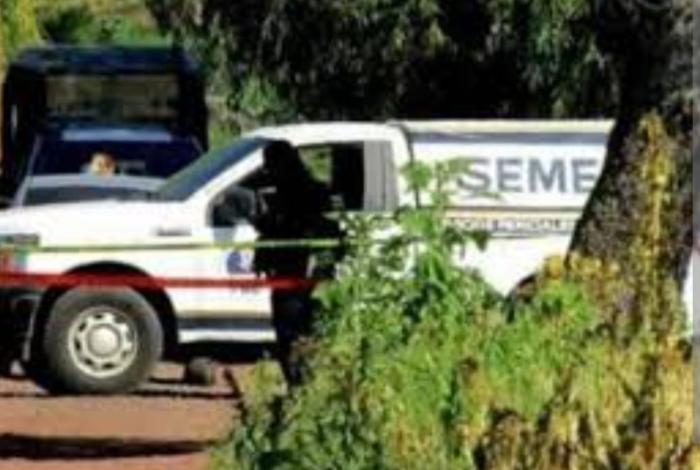 Le dieron el tiro de gracia y abandonan el cuerpo en un predio de Parácuaro