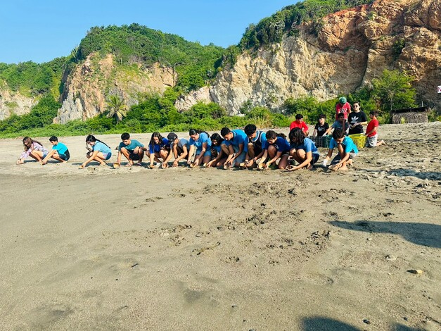 Liberan tortugas en costas michoacanas