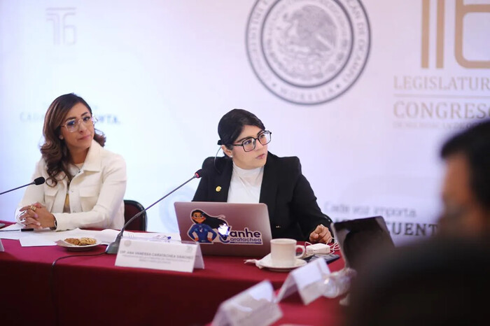 Llama Vanessa Caratachea a legislar en el Congreso de Michoacán con perspectiva infantil