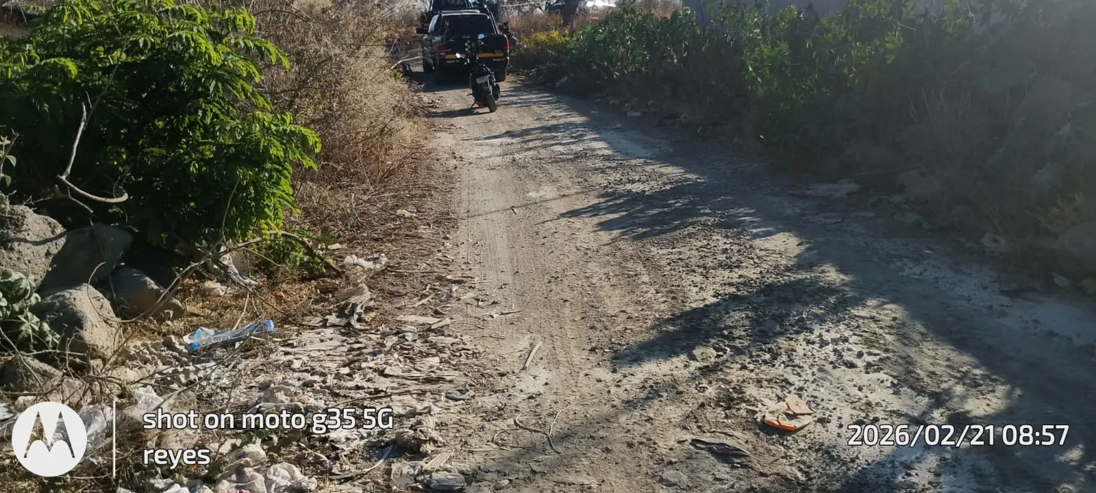 Localizan cuerpo suspendido en un árbol en Morelia