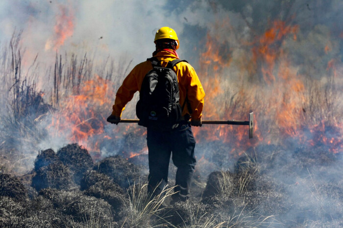 Los brigadistas forestales y la incansable lucha contra el fuego