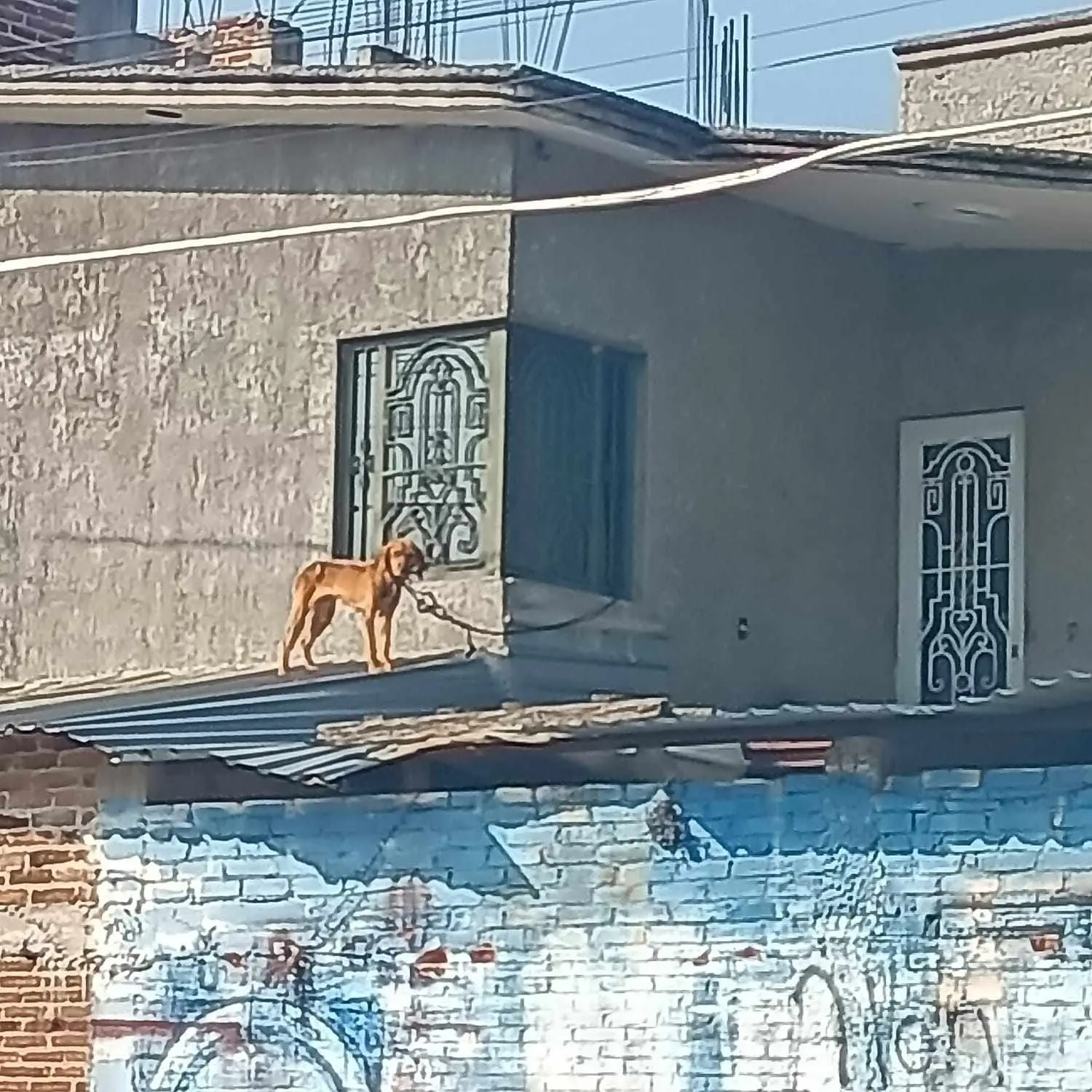 Michoacán