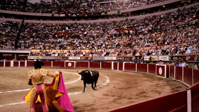 Marcharán protaurinos en Morelia