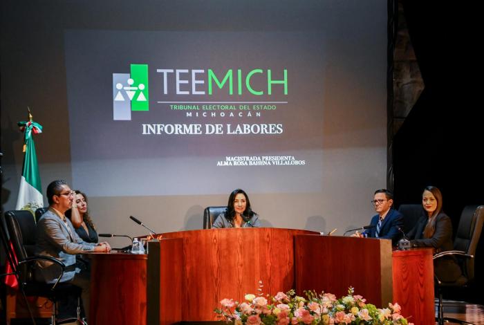 Más de 300 resoluciones emitió el Teemich este año