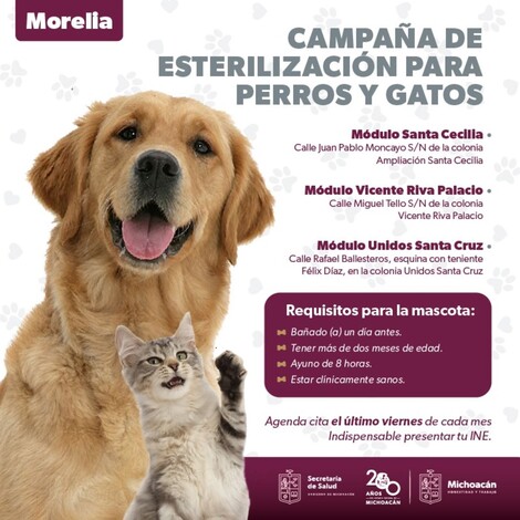 #Mascotas | SSM ofrece sin costo esterilización canina y felina, en Morelia