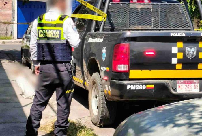 Matan a 5 chihuahuas y los dejan en la colonia Carlos Salazar, Morelia