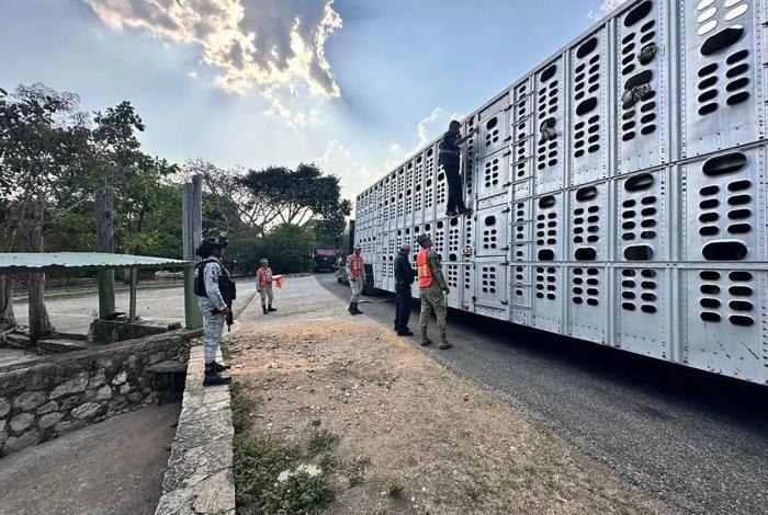 México exige a EE.UU. no cerrar frontera al ganado