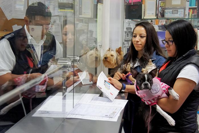 México exige inspección de perros y aves que entren de EEUU por casos de gusano barrenador