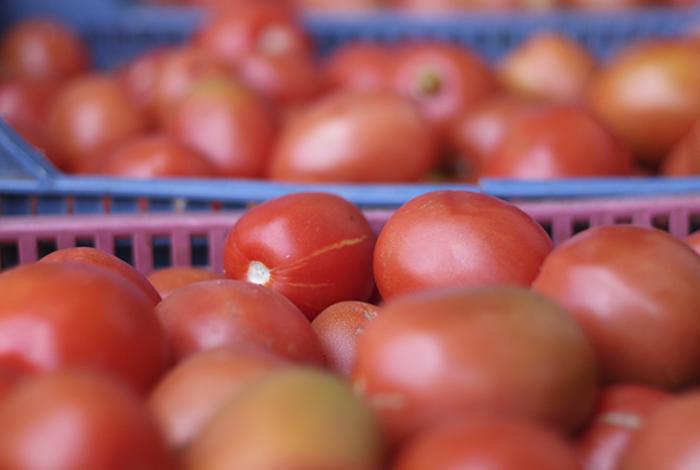 México fija precios mínimos de exportación para el tomate fresco